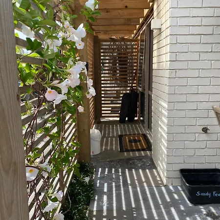 Beautiful Bream Bay Studio - Ruakaka Exterior photo